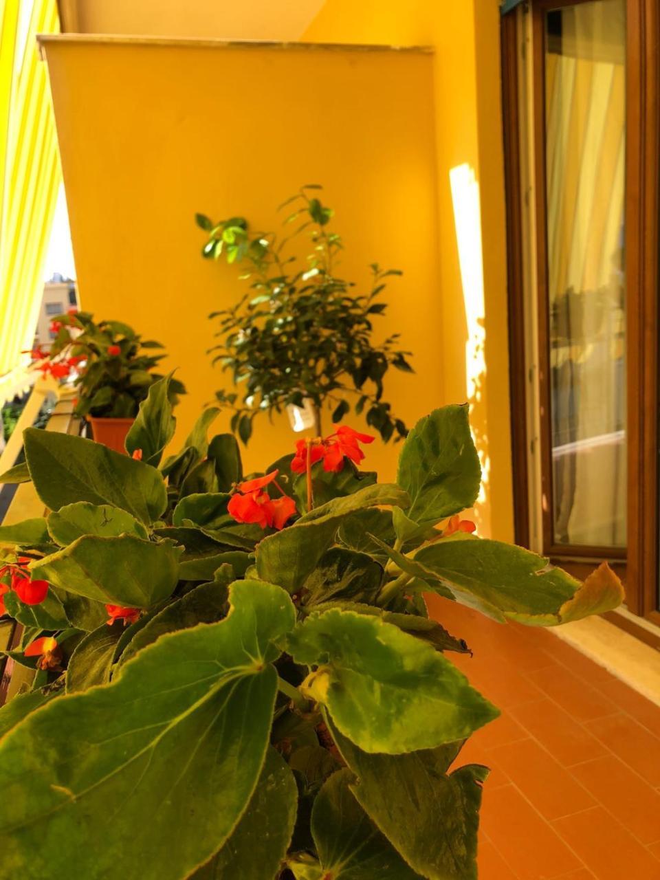 B&B La Rada Sorrento Eksteriør billede
